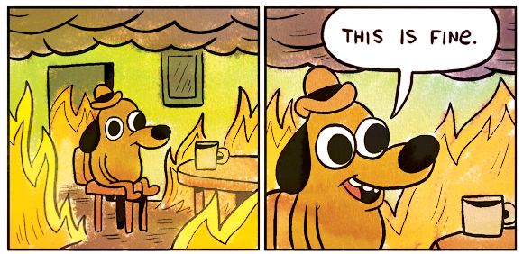 This is fine - TypeScript any en producción