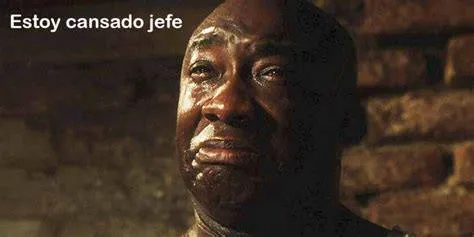 Desarrollador esperando a que cargue Whisper